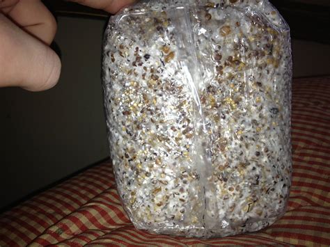 If growing directly from the <b>bag</b> try to leave about 1/2-1" of casing mix on the top layer so the rye <b>spawn</b> is covered. . How long do spawn bags take to colonize shroomery